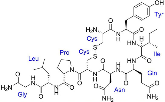 Oksitosin Hormonu Özelliği
