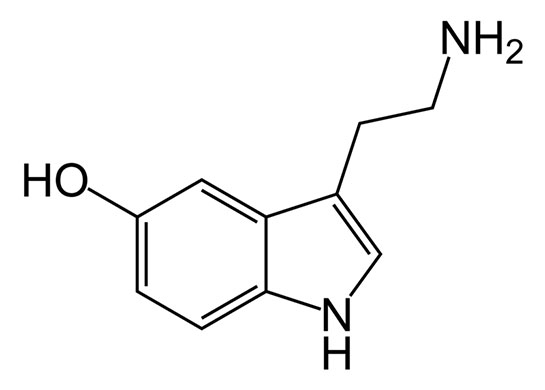 Serotonin Hormonu